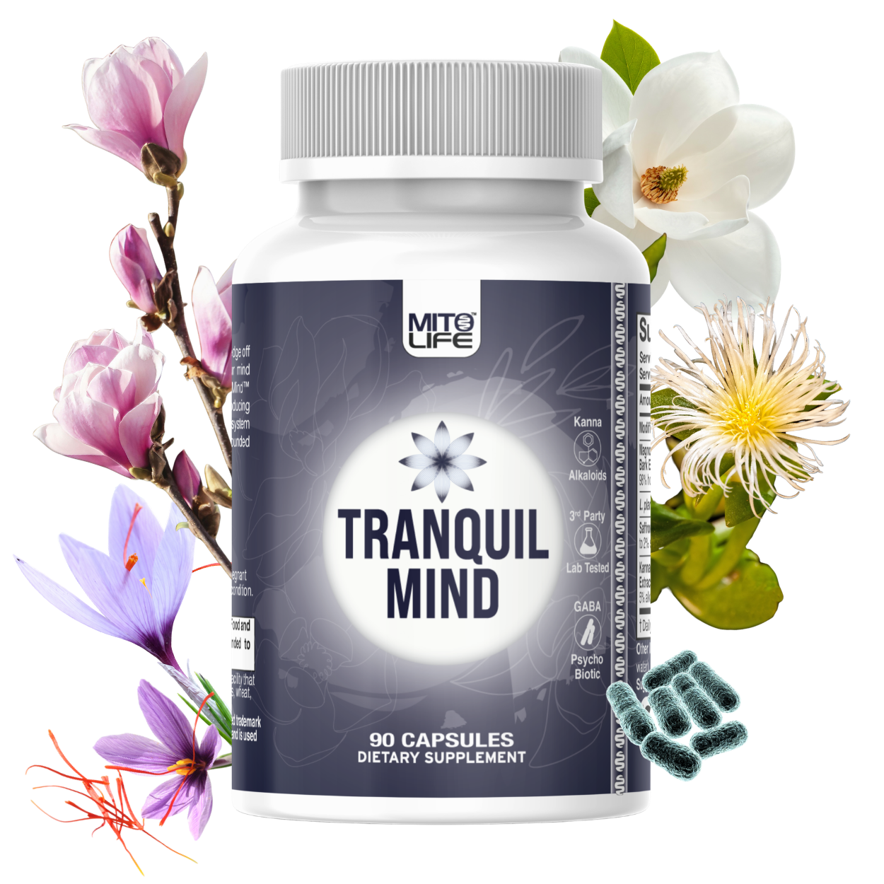 TRANQUIL MIND